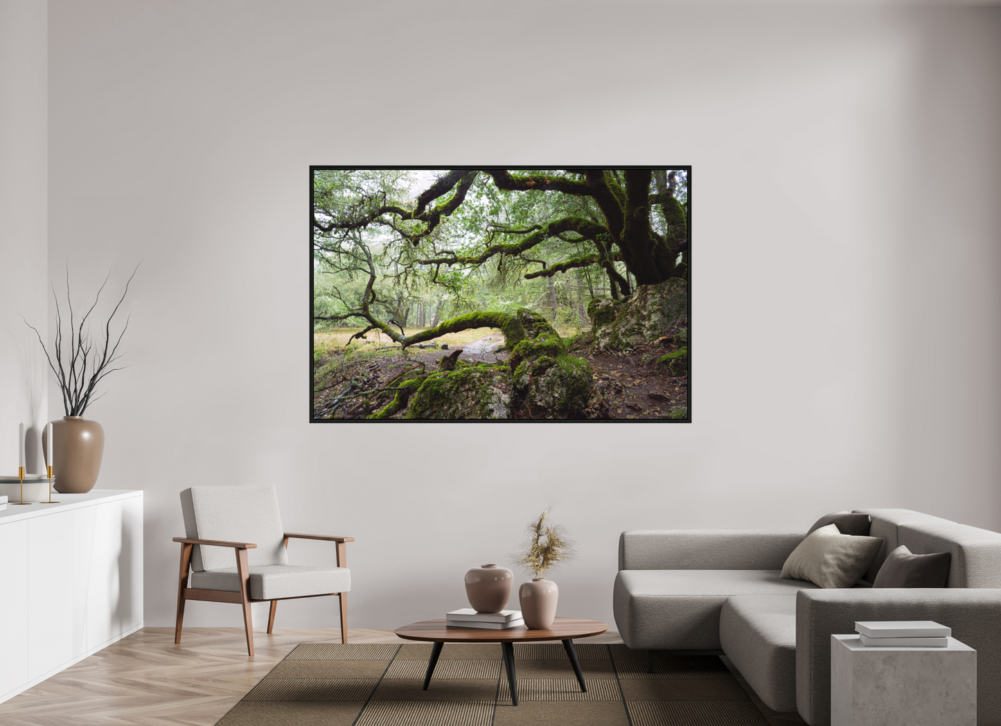 Forest Path (Collector Edition)