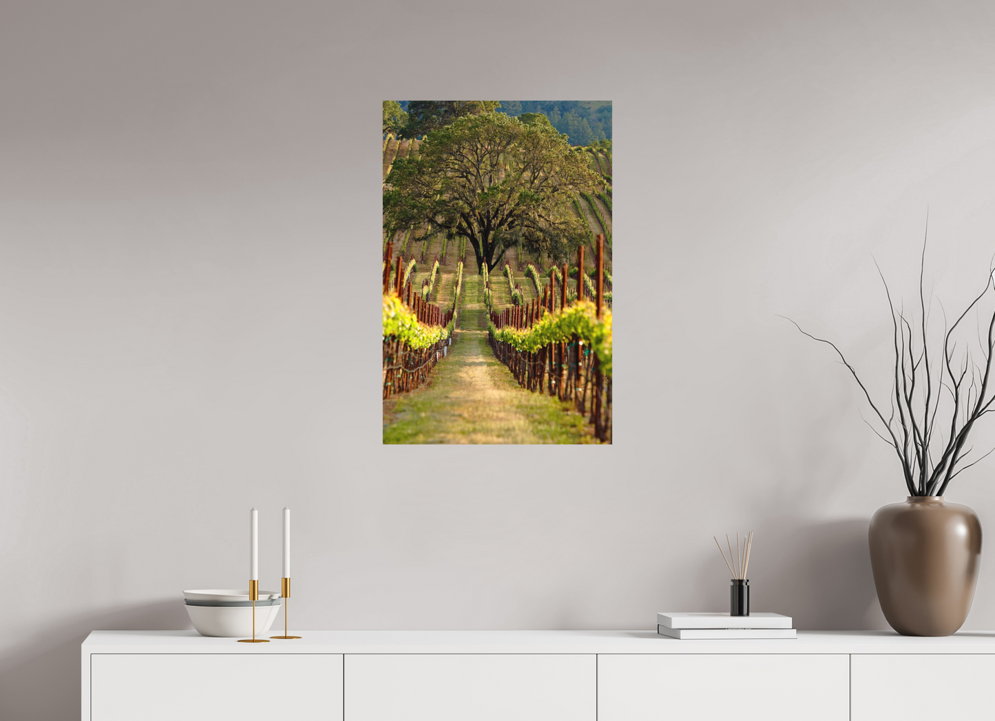 Alexander Valley