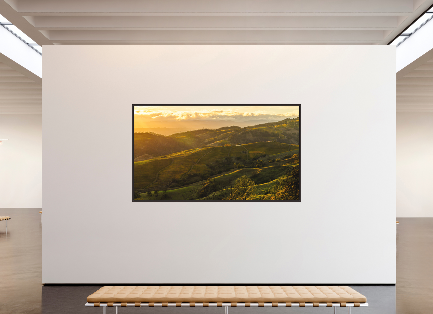 Autumn's Glow (Collector Edition)