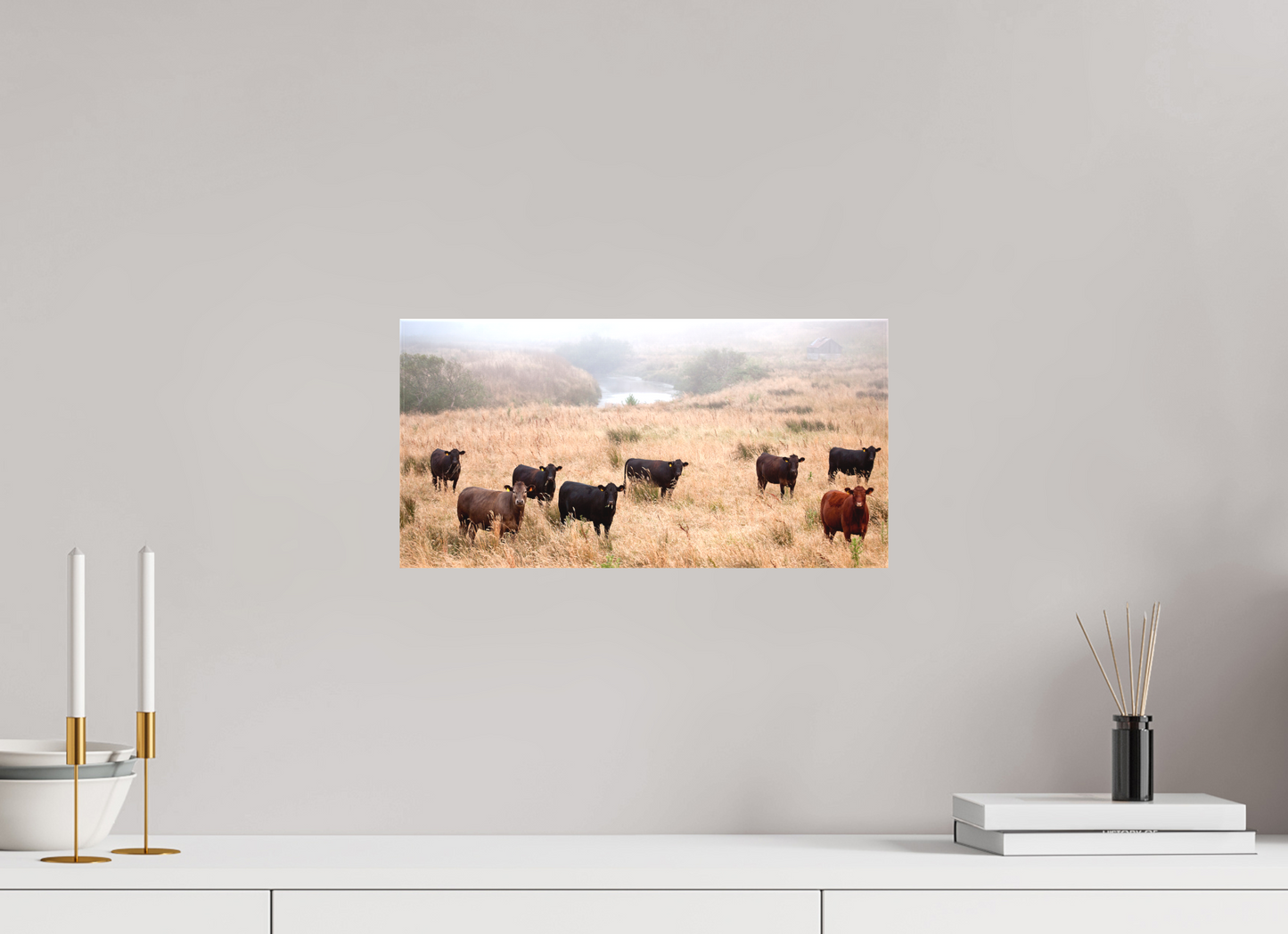 Country Cows