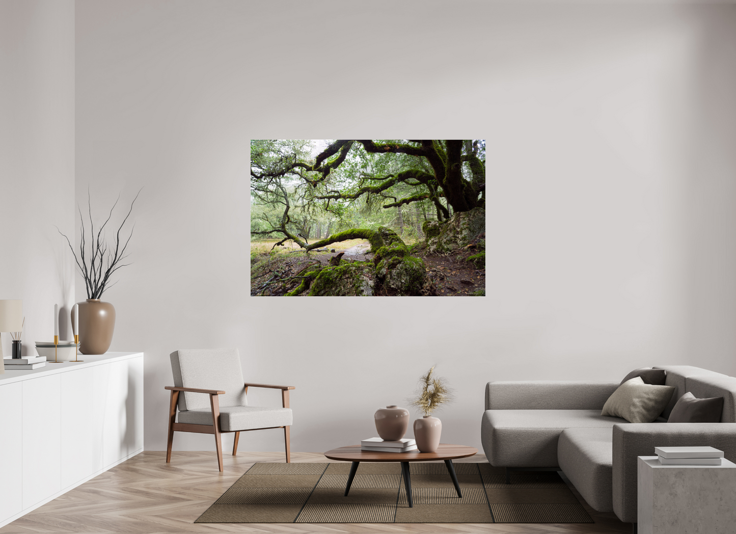 Forest Path (Collector Edition)