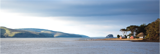 Buildings on the Bay
