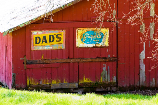 Faded vintage soda signs for Dad’s Root Beer and Grapette Soda mounted on the weathered red doors of an old barn, captured on a quiet winter day in rural Sonoma County.