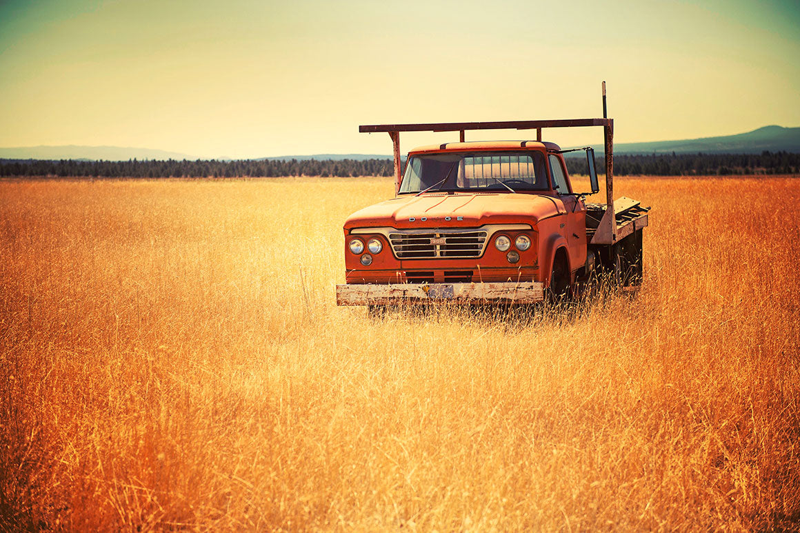 An old orange Dodge truck sits in a golden field of tall summer grass under a hazy sky in Eastern Oregon, with added texture and vignetting for a nostalgic feel.