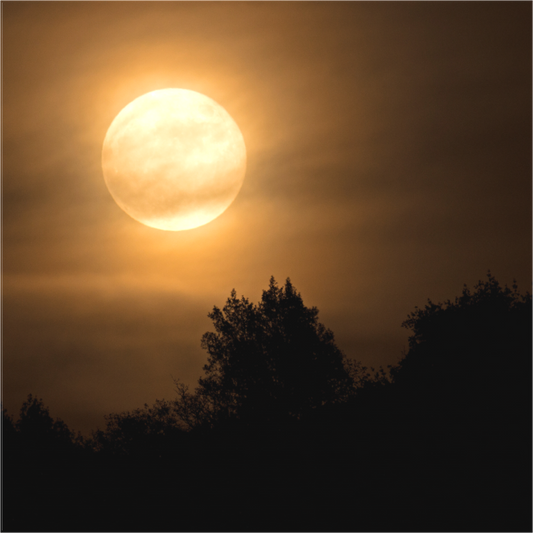 A luminous full moon rises through thin clouds above silhouetted trees and hills east of Santa Rosa on a crisp fall evening.