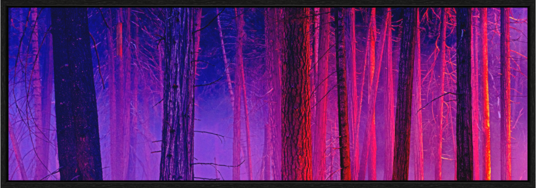 Main image The Color of Firelight