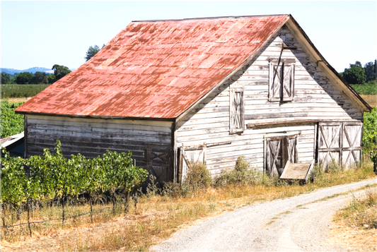 White Barn (Collector Edition)