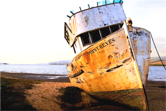 Point Reyes Shipwreck (Collector Edition)