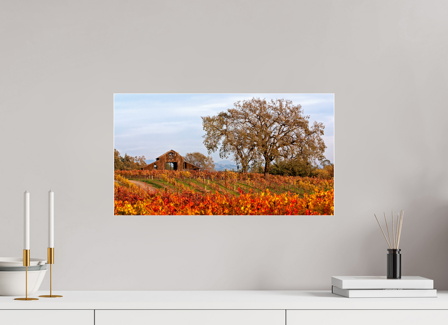 Barn and Vineyards
