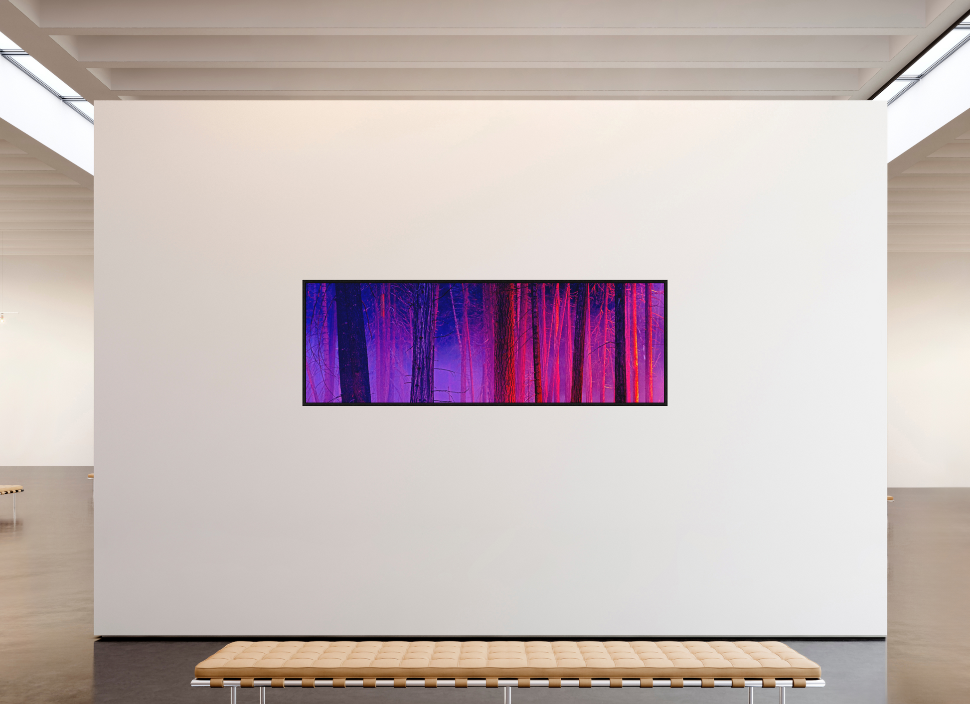 93 x 31″, Acrylic Face Mount with Black Float Frame The Color of Firelight (Collector's Edition)