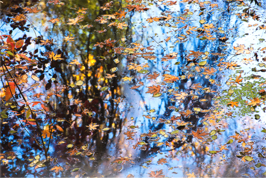 Fall Kaleidoscope