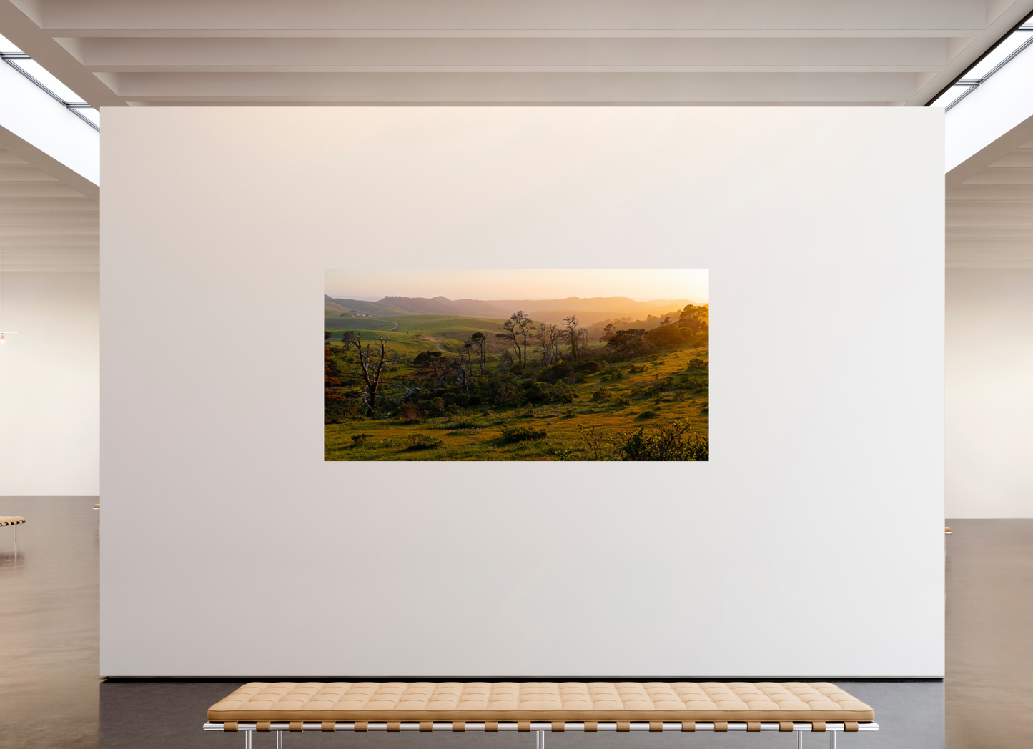 Pastoral Landscape (Collector Edition)