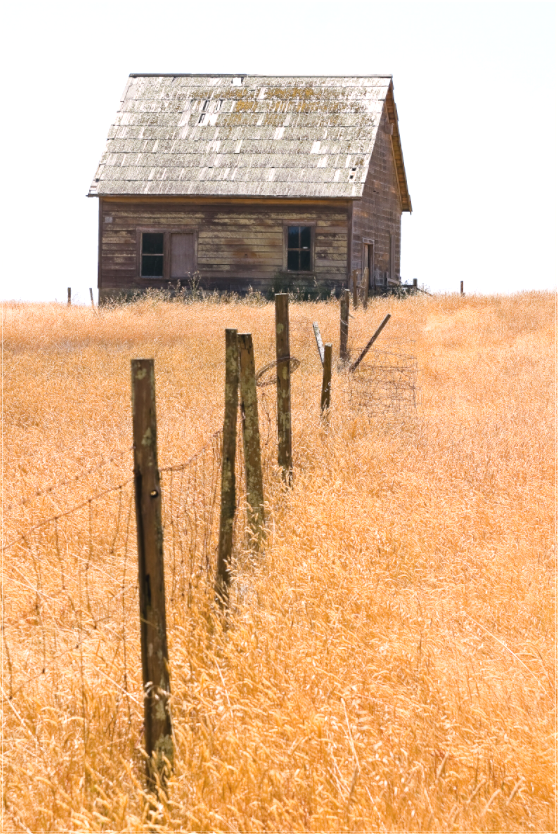 Old Farm Building (Collector Edition)