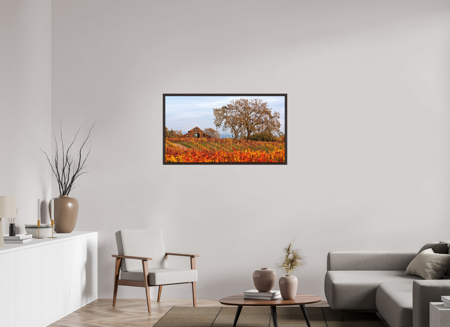 Barn and Vineyards (Collector Edition)