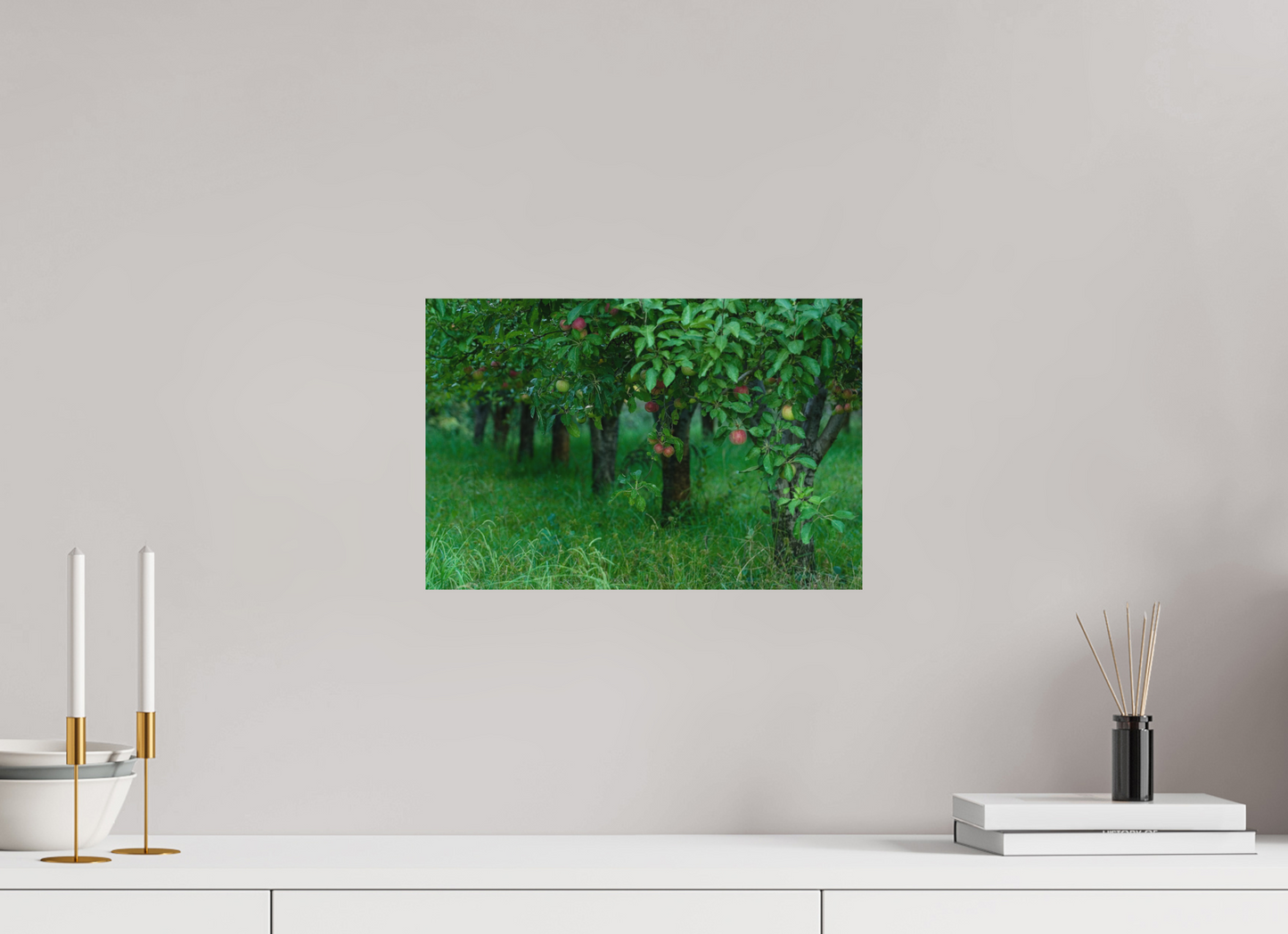 Apple Orchard