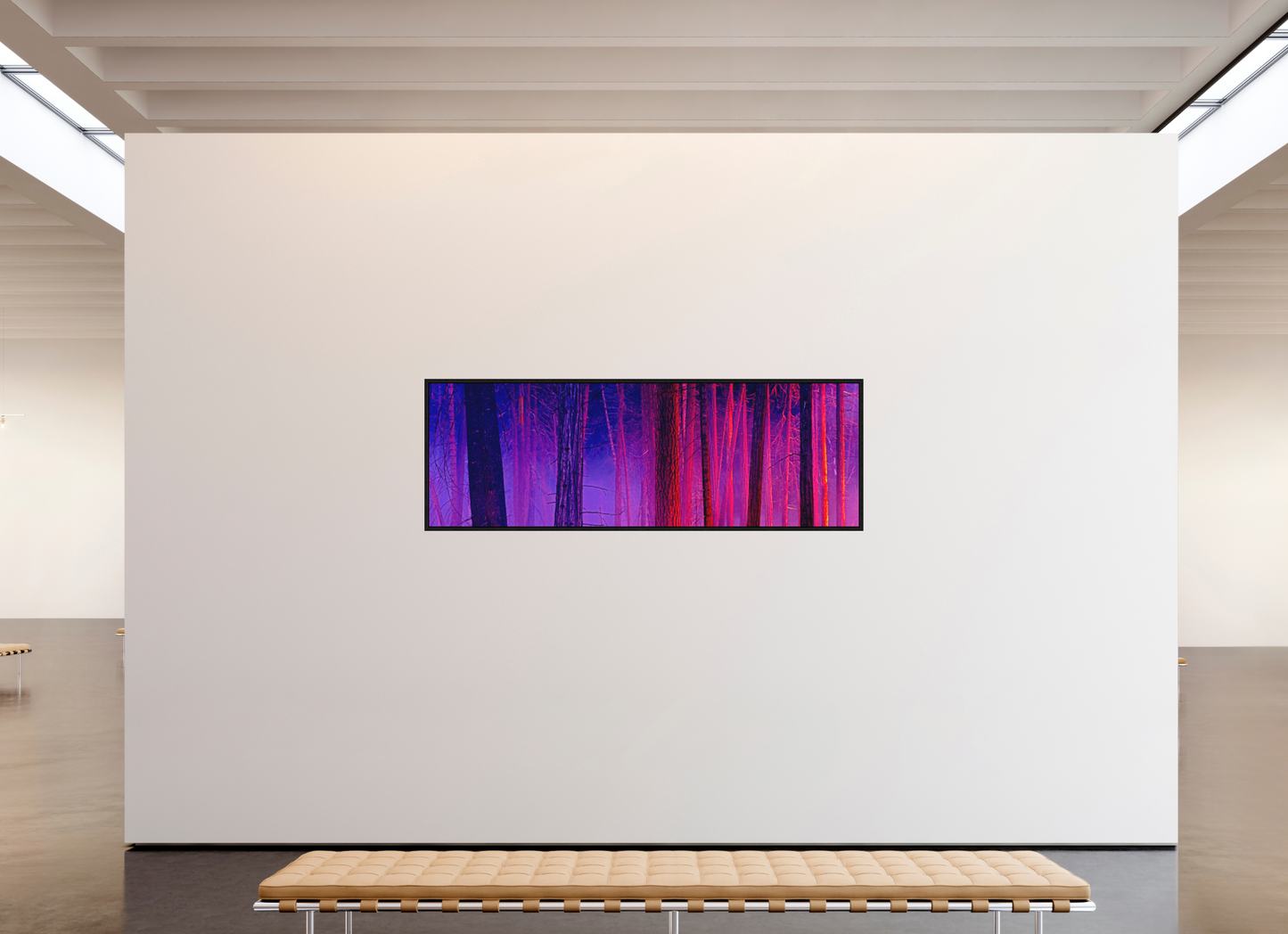 84 x 28″, Acrylic Face Mount with Black Float Frame The Color of Firelight (Collector's Edition)