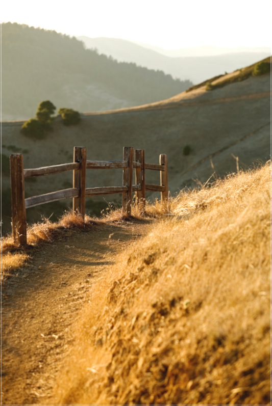 Golden light falls on a narrow dirt path and rustic wooden fence along the Big Rock Trail near Skywalker Ranch, with rolling hills and layered ridgelines in the distance on a late Halloween afternoon.