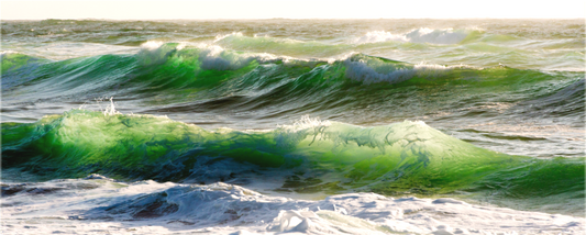 Sea Green (Collector Edition)