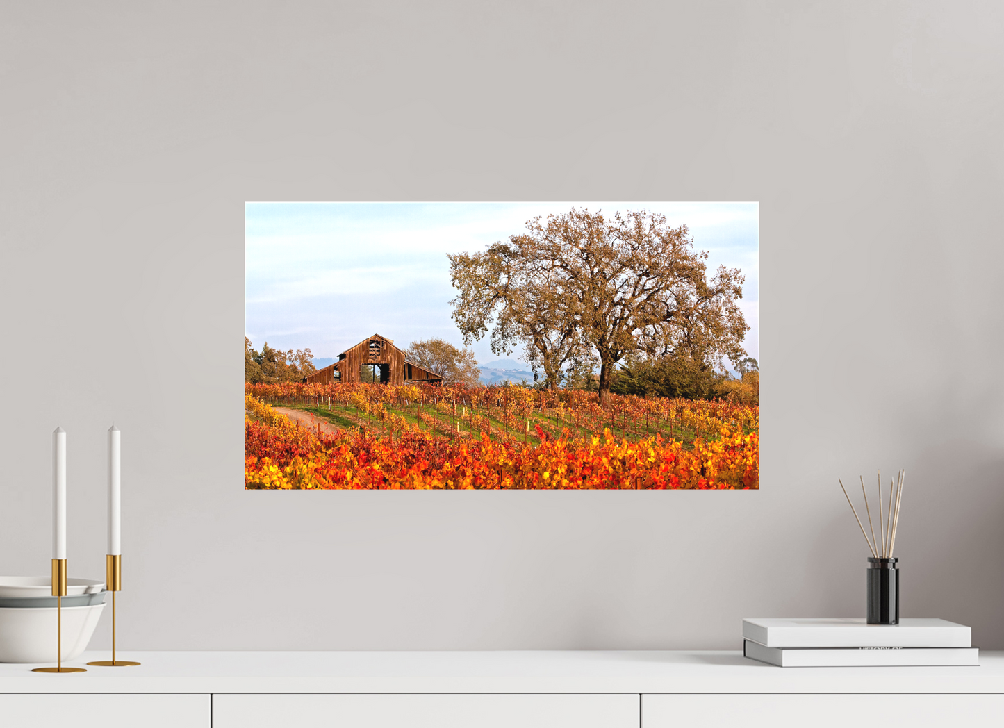Barn and Vineyards