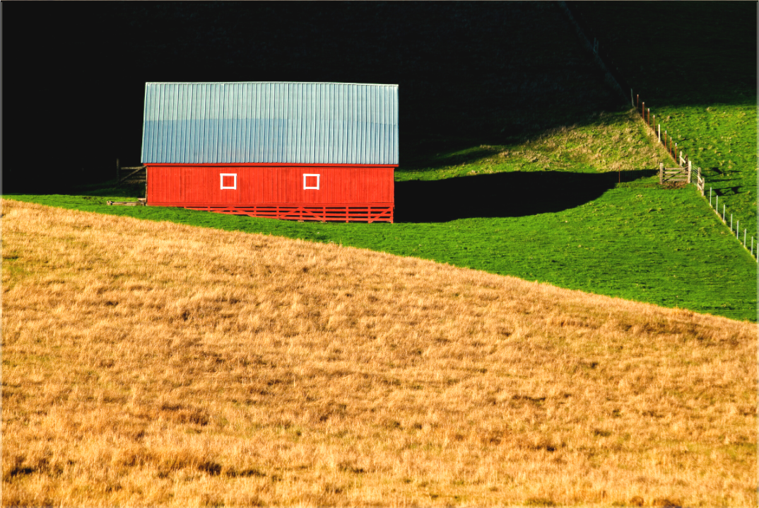 Rural Geometry (Collector Edition)