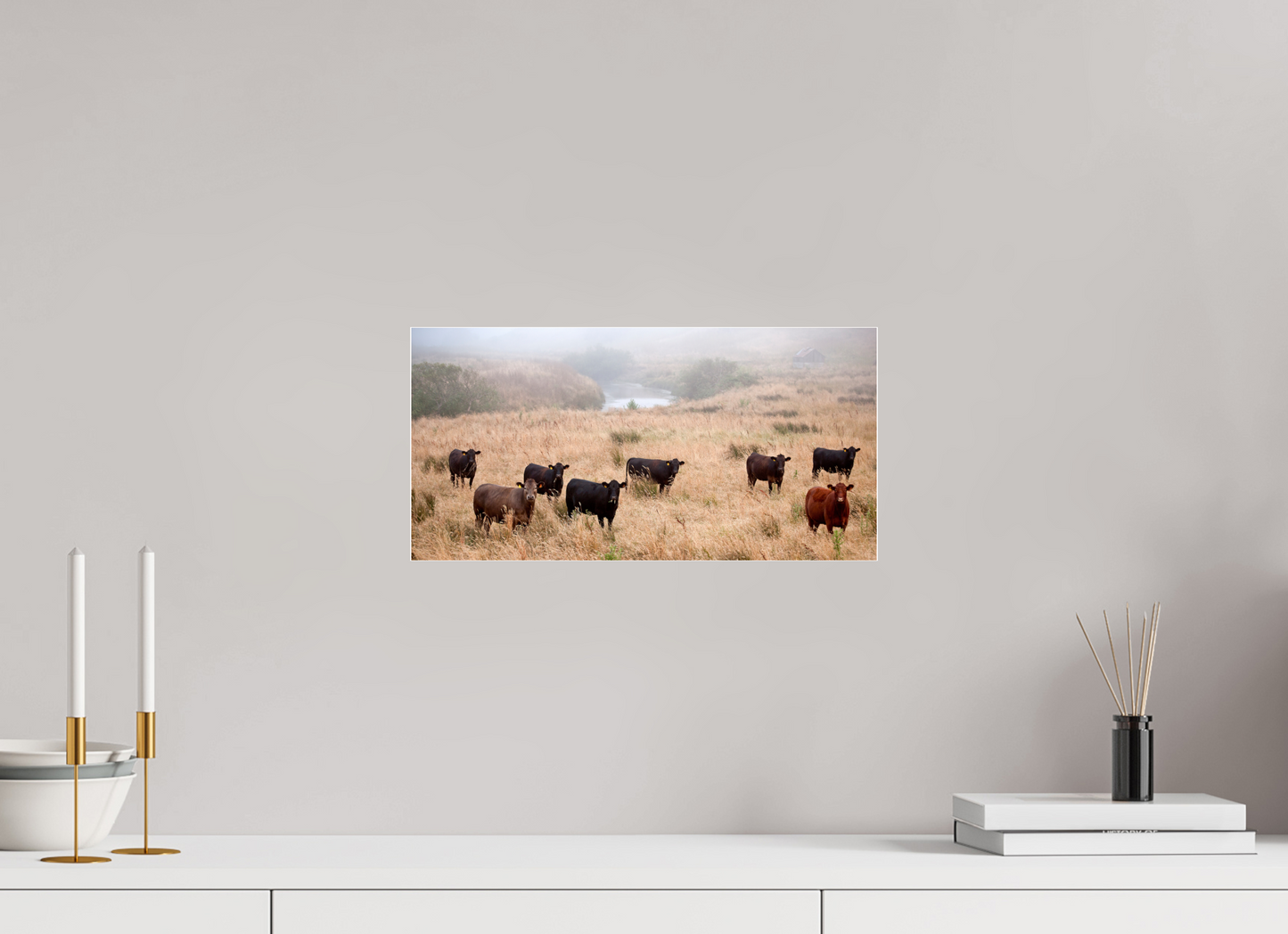 Country Cows