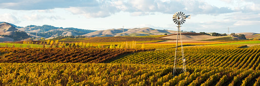 A classic windmill rises above colorful fall vineyards in the Carneros region, with rolling hills and scattered clouds completing the autumn wine country scene.