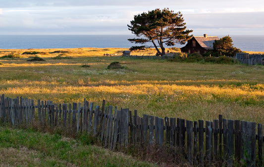 A weathered wooden fence borders a sunlit coastal field on the edge of Mendocino, with a rustic house and wind-swept trees overlooking the Pacific Ocean.