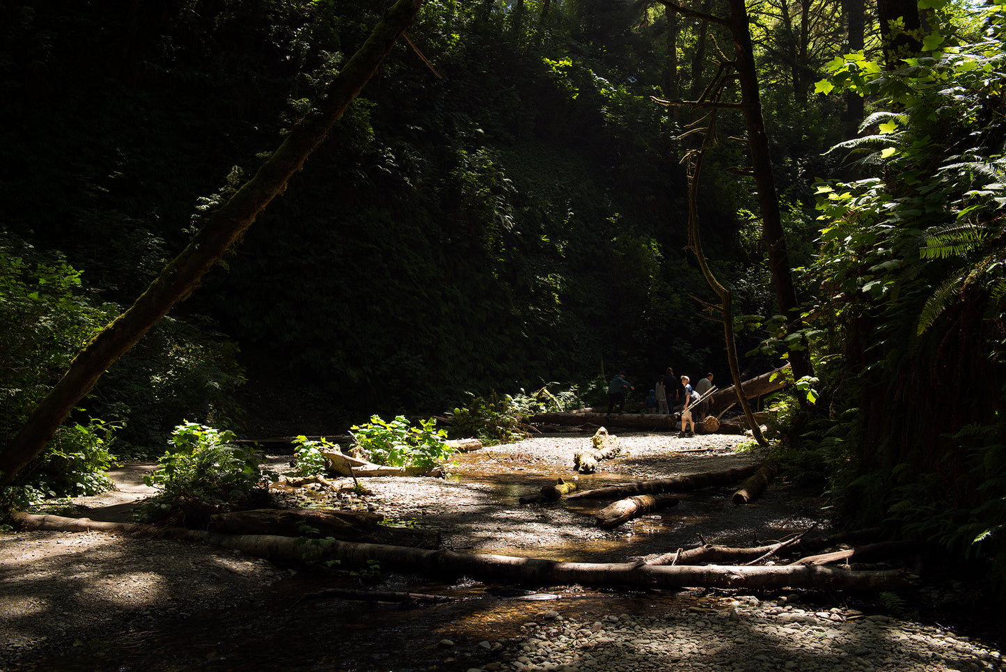 Humboldt County in Summer - 5 Days