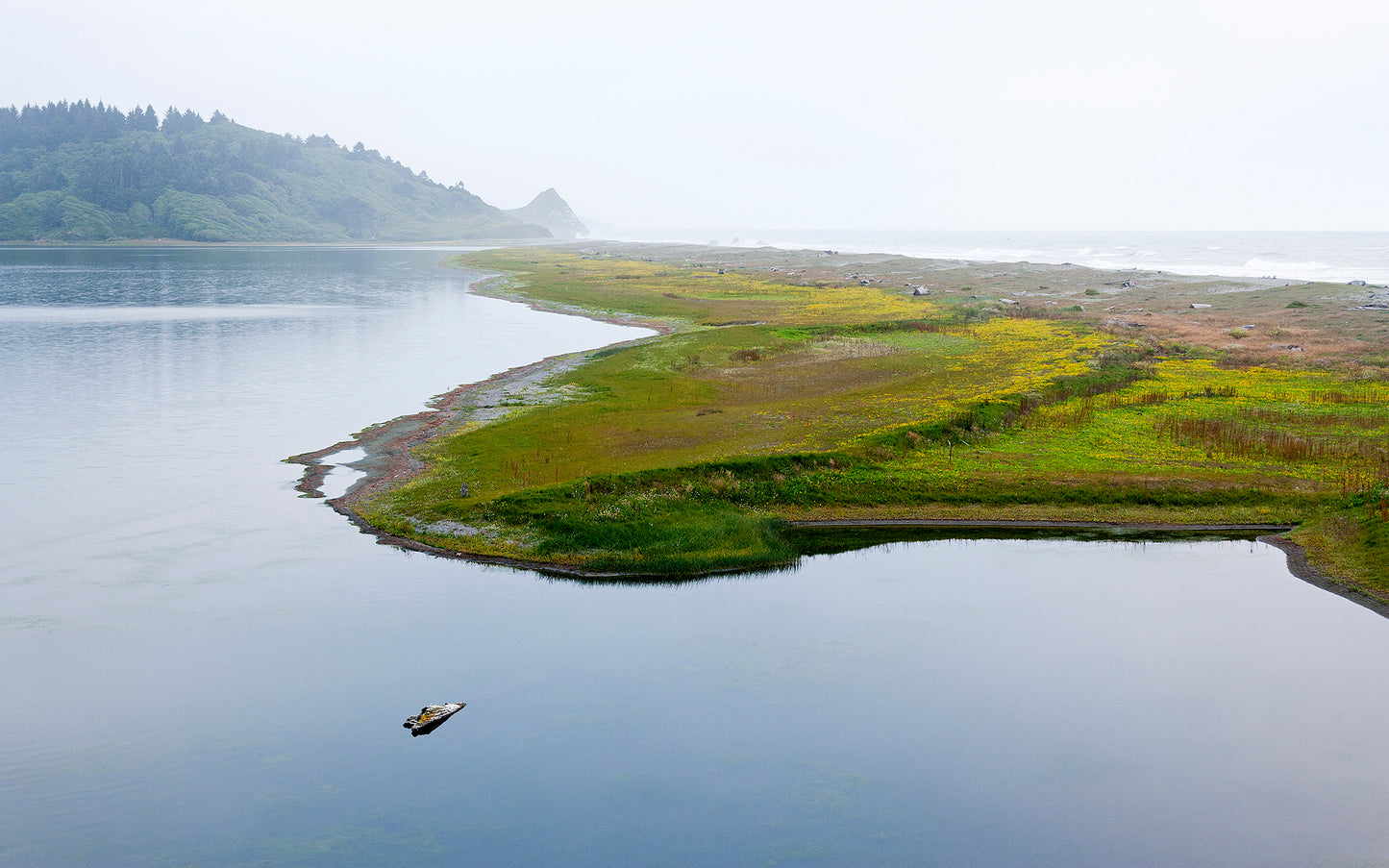 Humboldt County in Summer - 5 Days