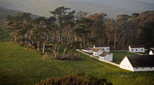Historic white barns and ranch buildings of Pierce Point Ranch nestled in green winter hills, framed by windswept cypress trees on a winter afternoon in Point Reyes National Seashore.