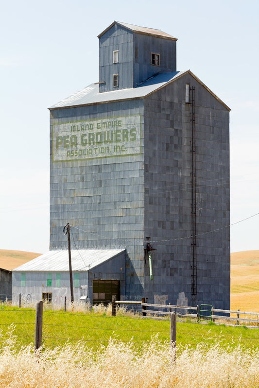 A weathered metal grain elevator with a faded green sign reading “Inland Empire Pea Growers Association, Inc.” stands tall amid rolling golden hills in the Palouse region of eastern Washington on a bright summer day.