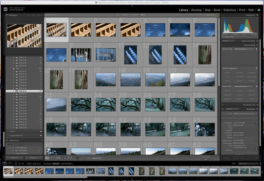 Lightroom Basics - September