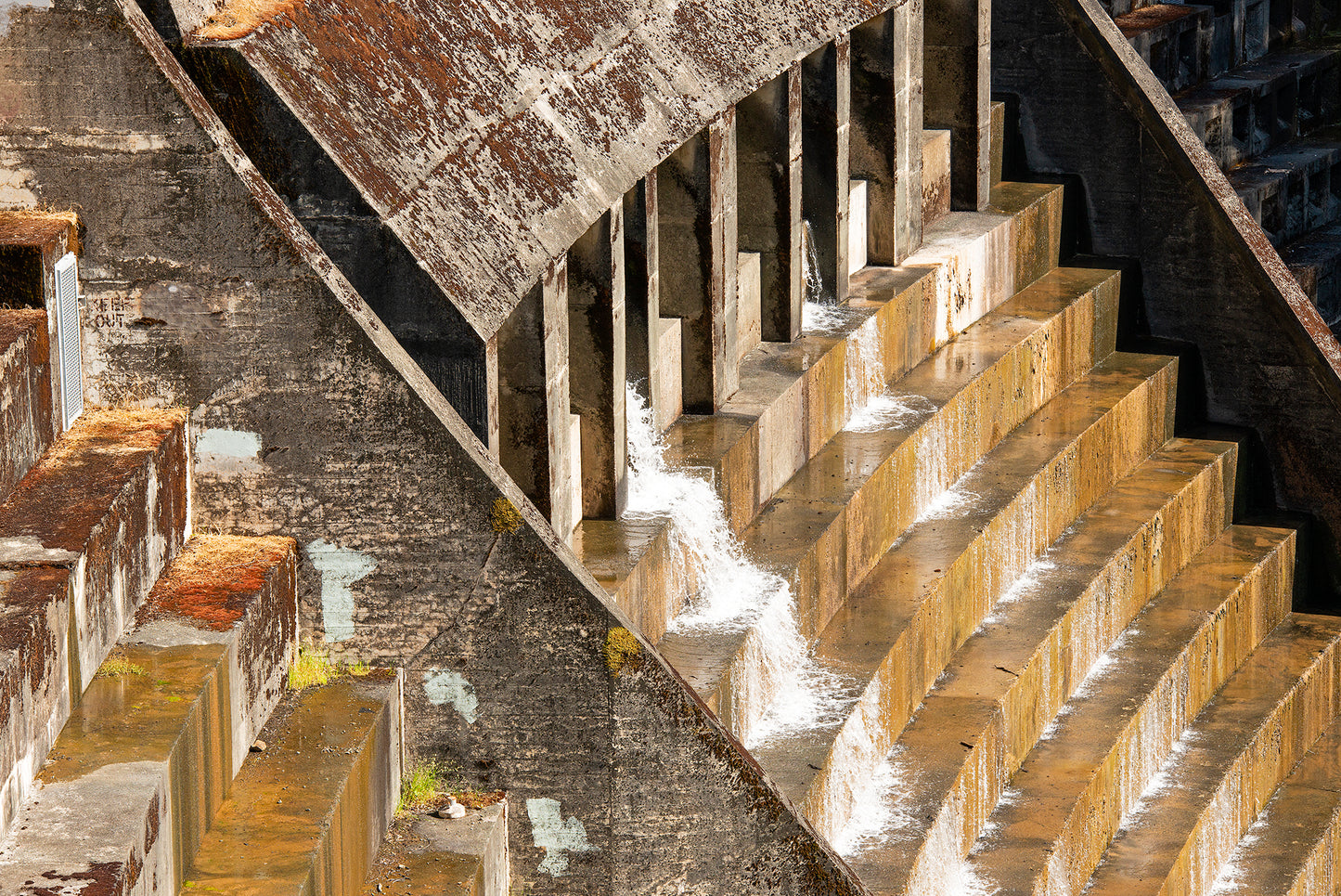 Mt Tamalpais in Late Spring