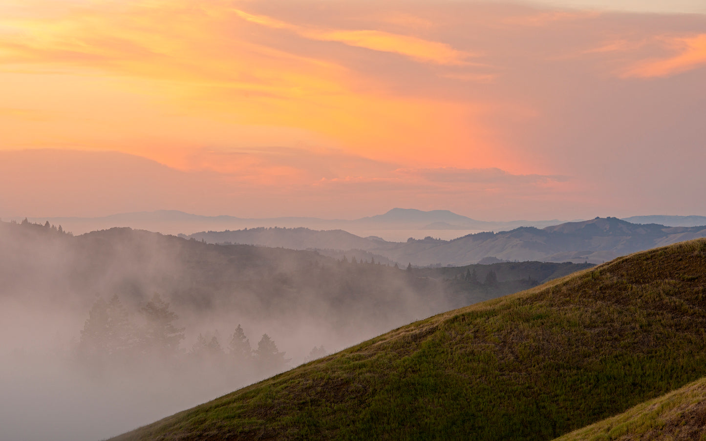 Mt Tamalpais in Late Spring