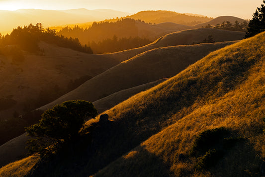 Mt Tamalpais in Late Spring