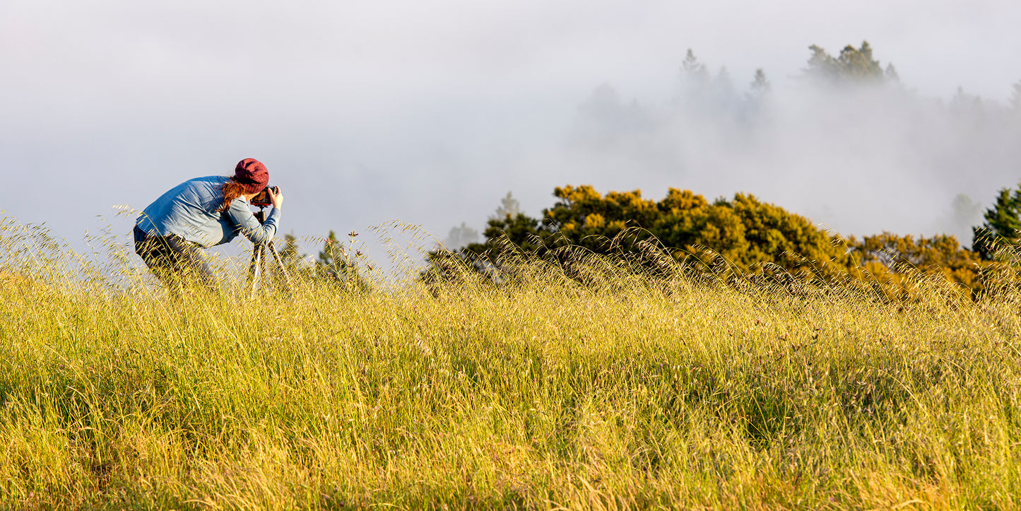 Mt Tamalpais in Late Spring