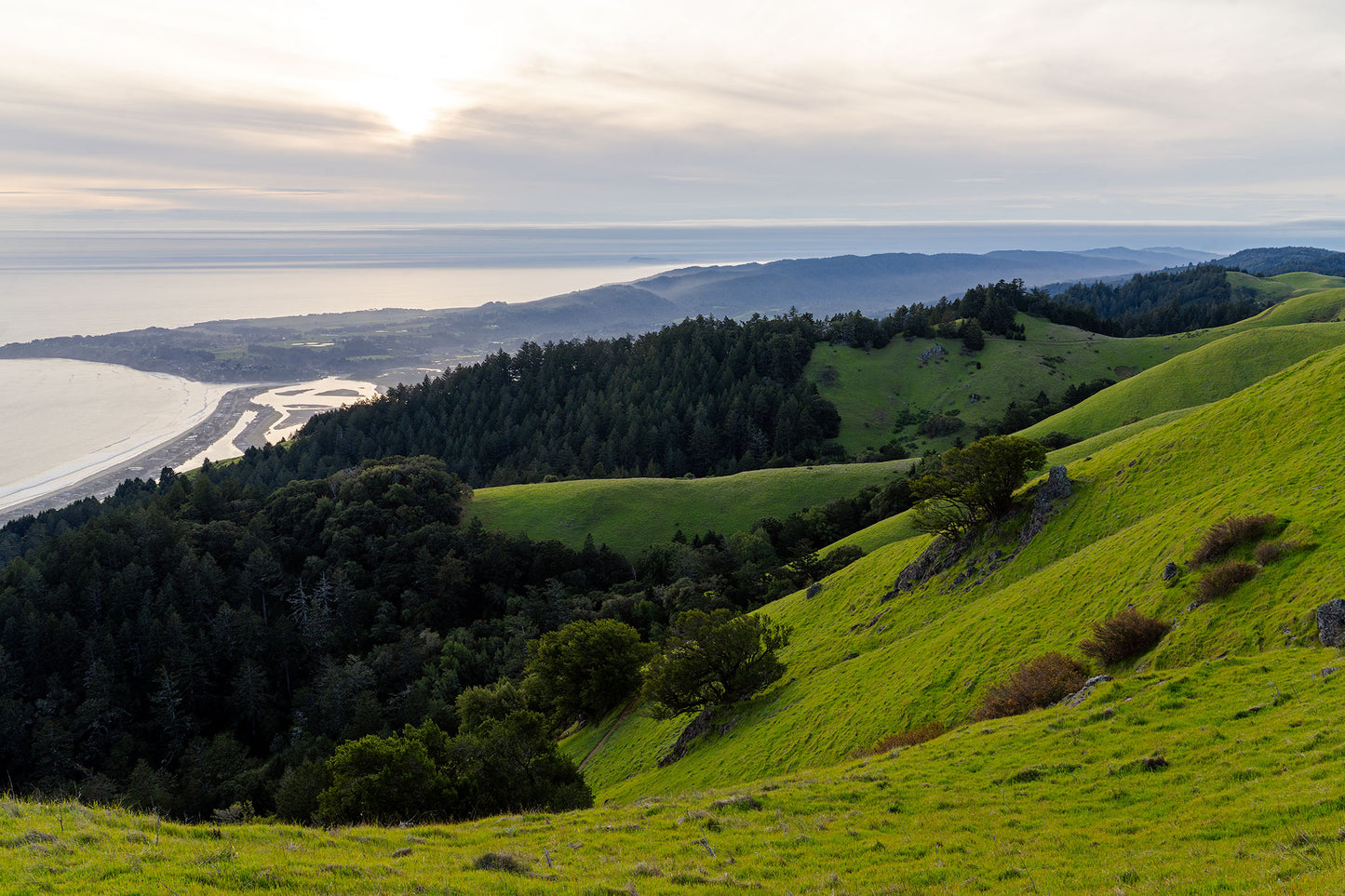 Mt Tamalpais in Spring