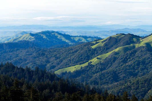 Mt Tamalpais in Spring
