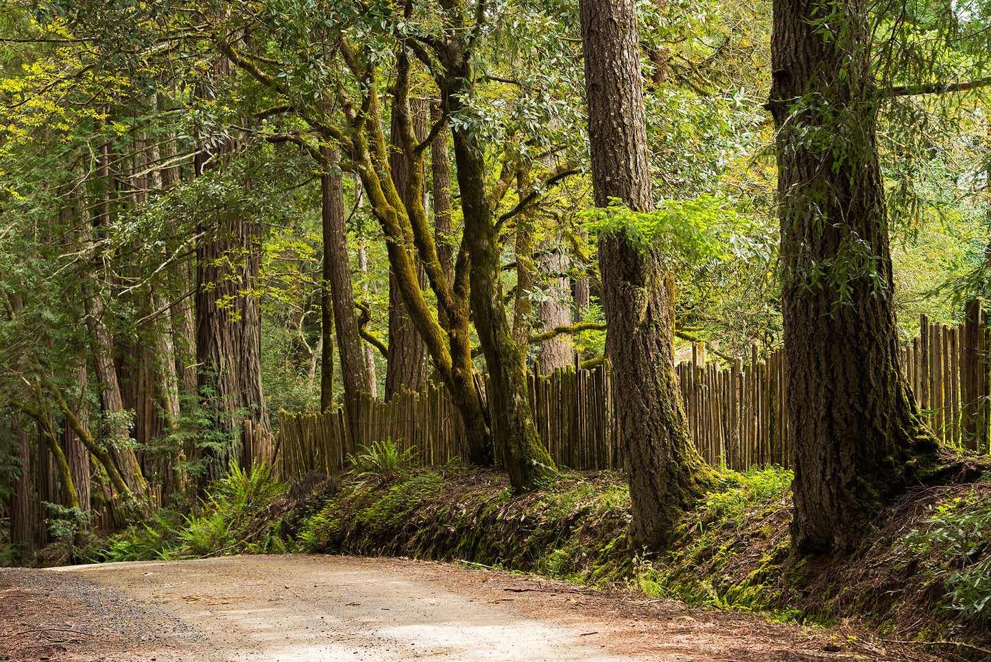 Northwest Sonoma County in Spring