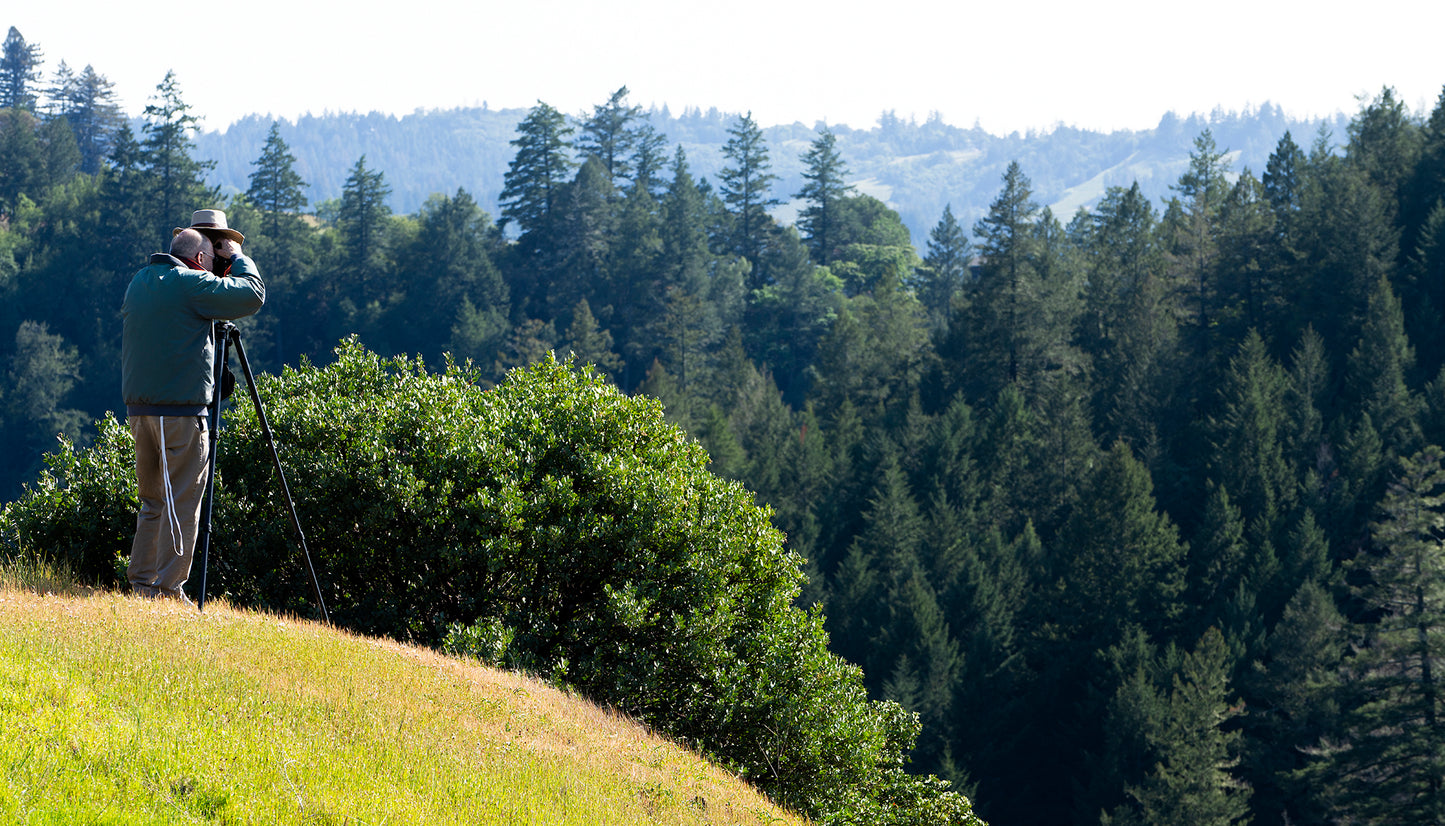 Northwest Sonoma County in Spring