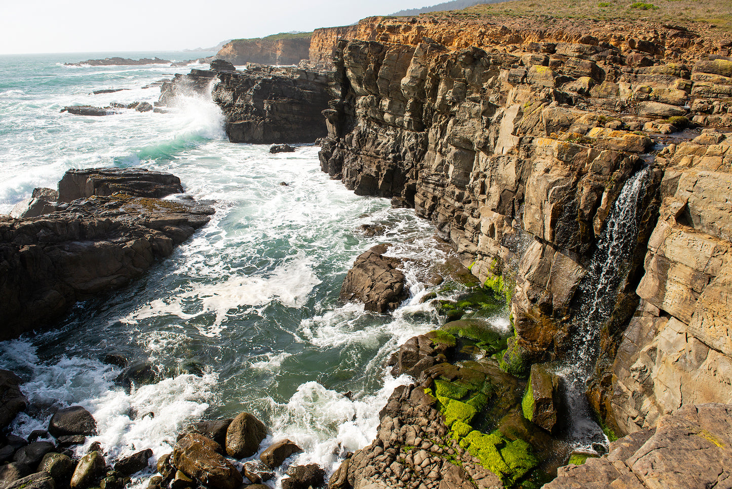 Northwest Sonoma County in Spring