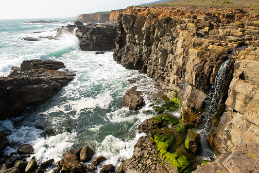 Northwest Sonoma County in Spring