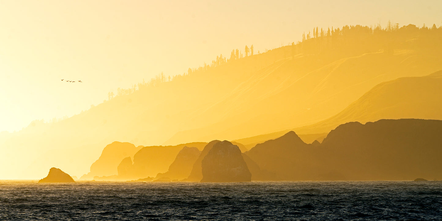Northwest Sonoma County in Summer