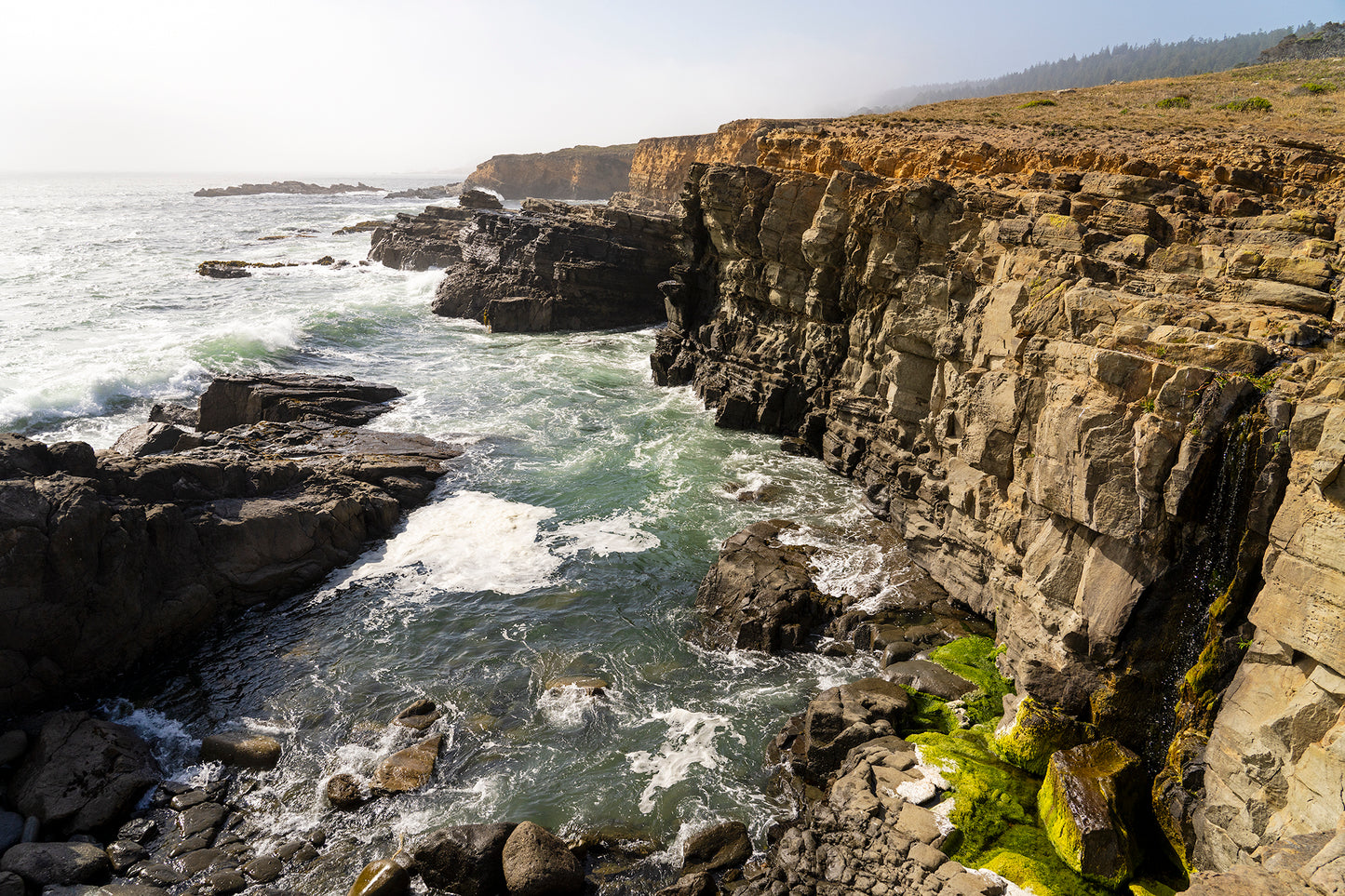 Northwest Sonoma County in Summer