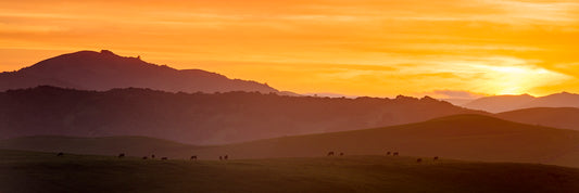 Photowalk - Helen Putnam Park – Golden Hour - November