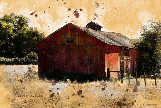 A weathered red barn stands in golden summer grass, surrounded by trees and filtered light, digitally altered to resemble a vintage painting—part of the “Petaluma Landmarks” series.