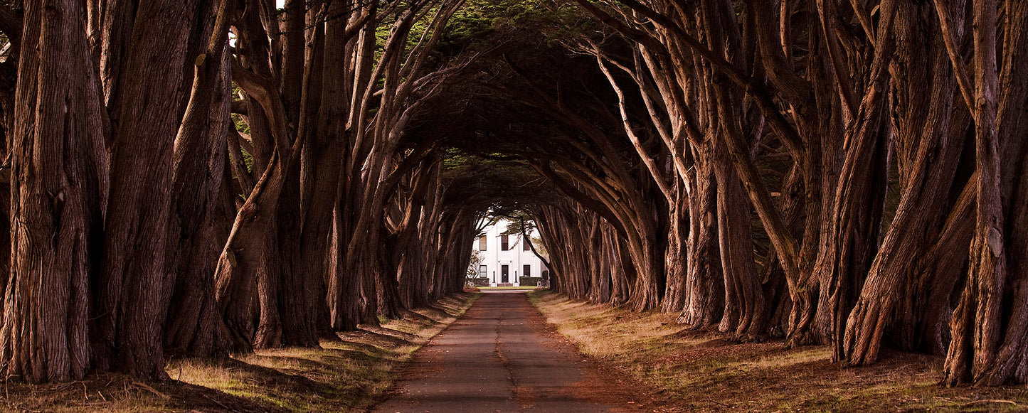 Point Reyes & West Marin County in Fall