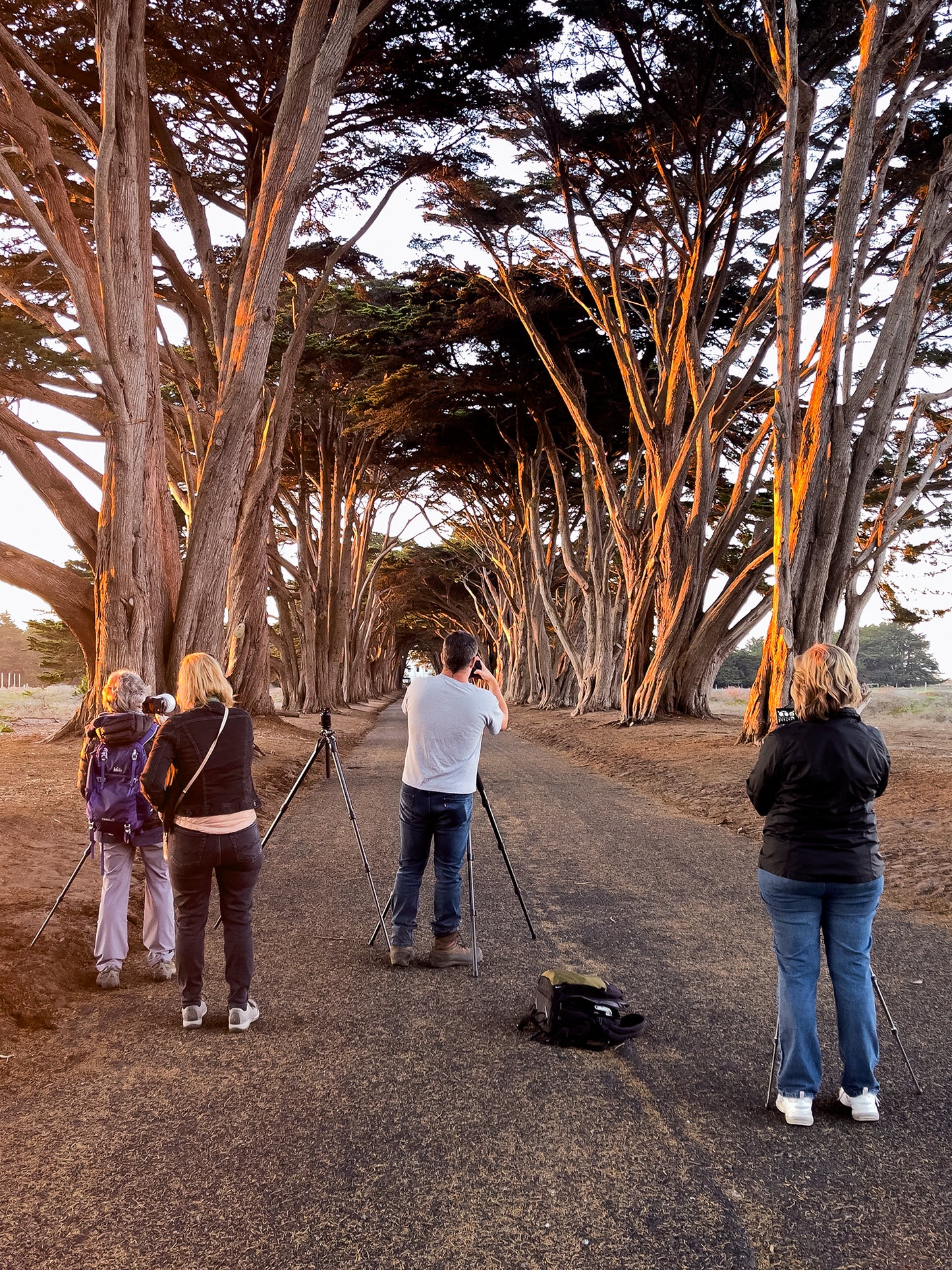 Point Reyes & West Marin County in Fall