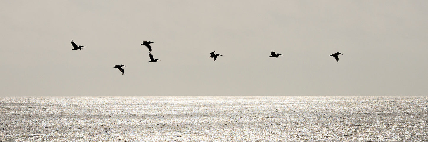 Point Reyes & West Marin County in Late Spring