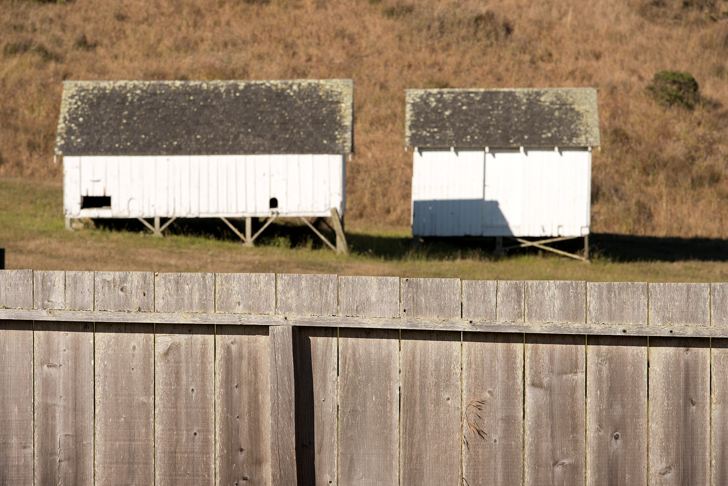 Point Reyes & West Marin County in Late Spring